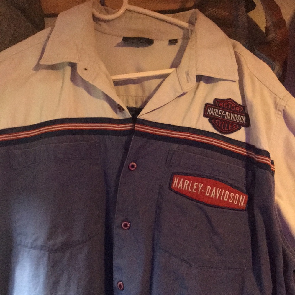 Button down short sleeve